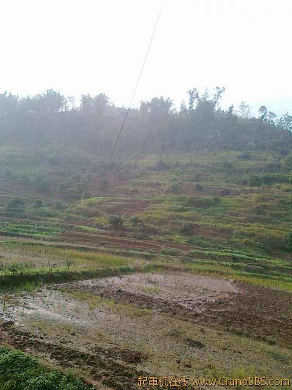 20111118030.jpg