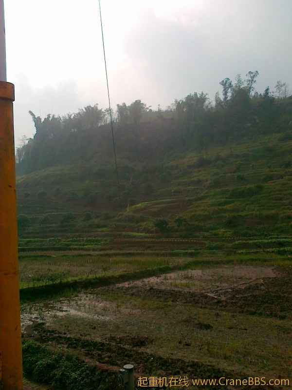 20111118031.jpg