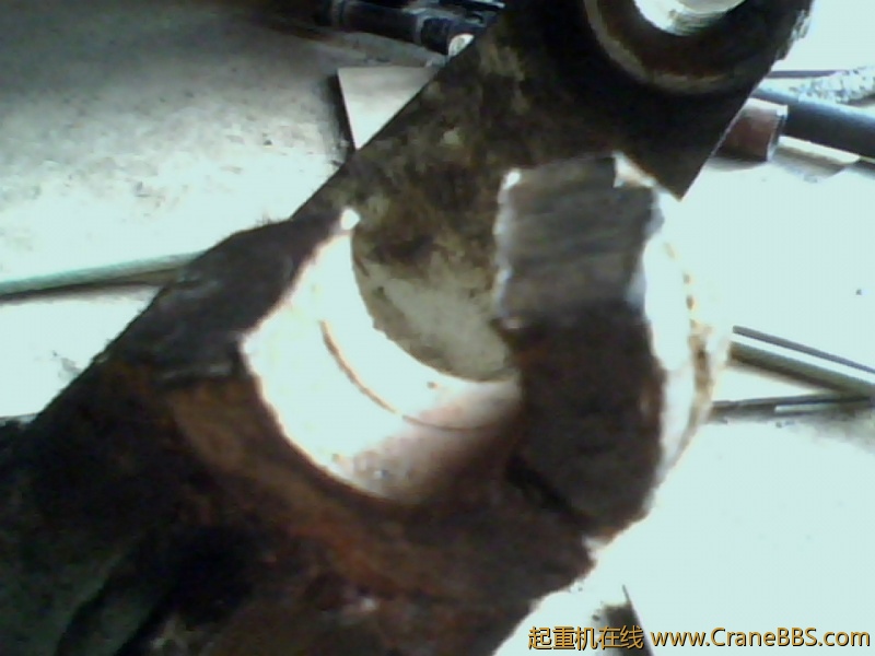 IMG1253A.jpg