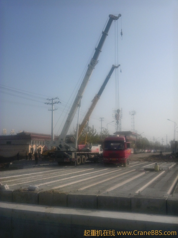 IMG_20111120_095215.jpg