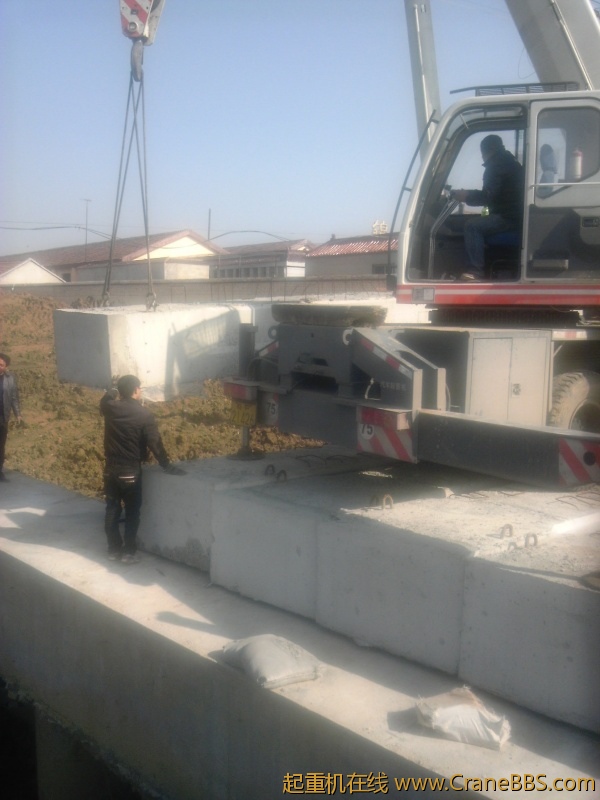 IMG_20111120_105315.jpg