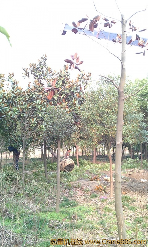 好不容易开进去，装完车还要倒出来，唉！累死人哪！