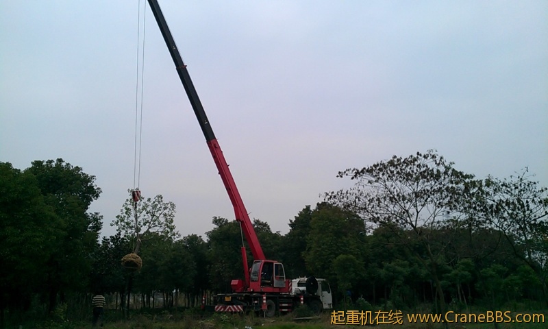 IMAG0057.jpg