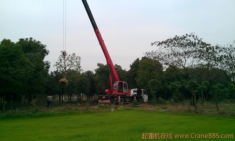 IMAG0058.jpg