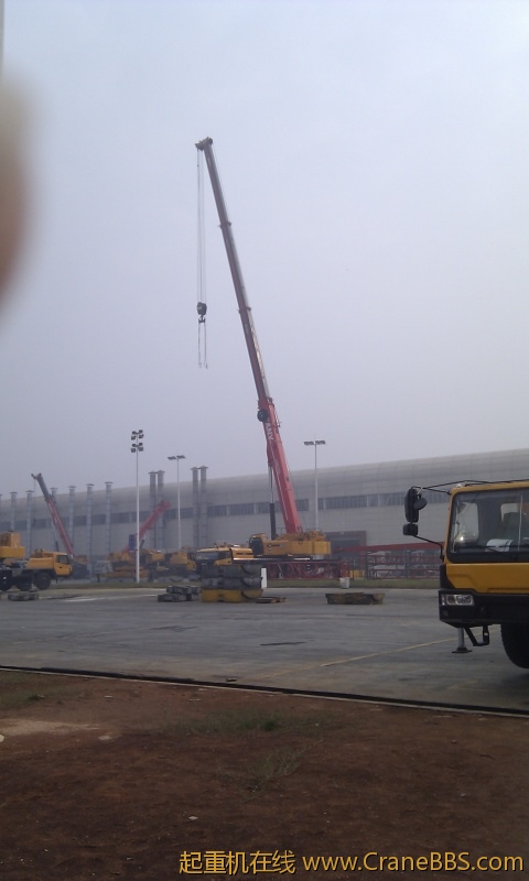 IMG_20111117_145608.jpg