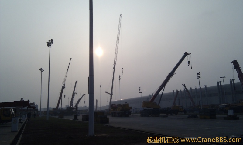 IMG_20111119_081121.jpg