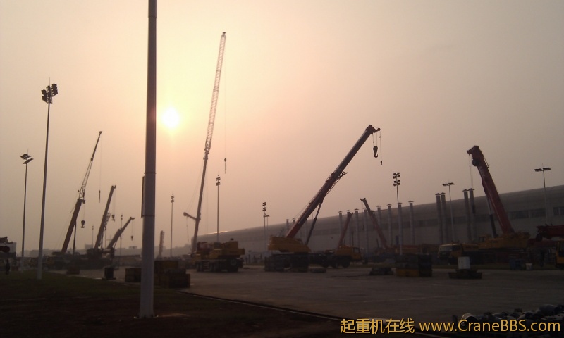 IMG_20111119_081127.jpg