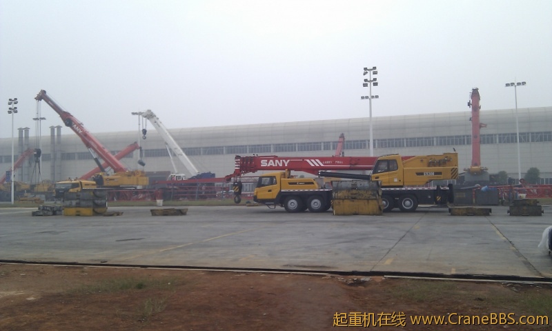 IMG_20111117_160515.jpg