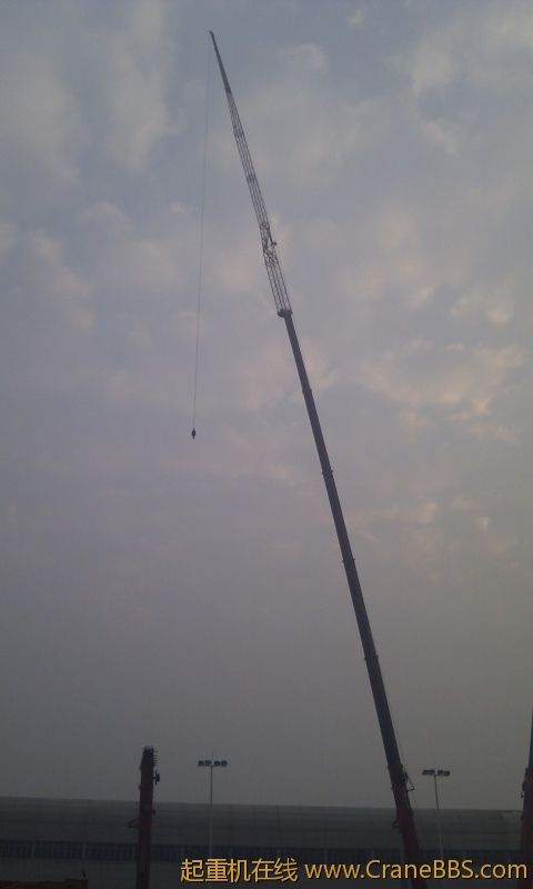 IMG_20111117_165656.jpg