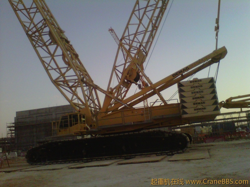 IMG-20111120-00153.jpg