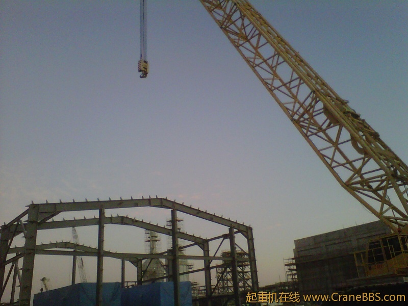 IMG-20111120-00152.jpg