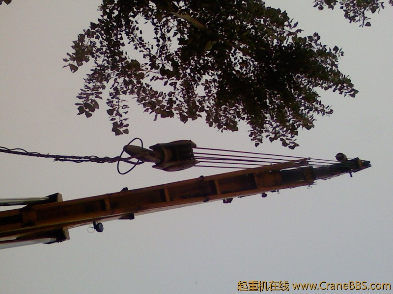 PIC-0355.jpg