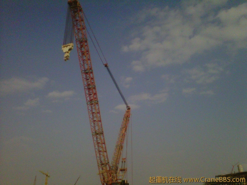 IMG-20111123-00181.jpg