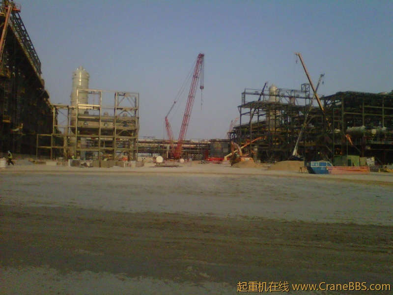 IMG-20111123-00197.jpg