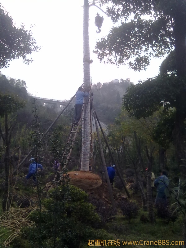 20111124035.jpg