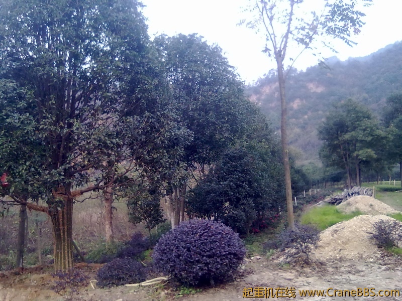 20111124036.jpg