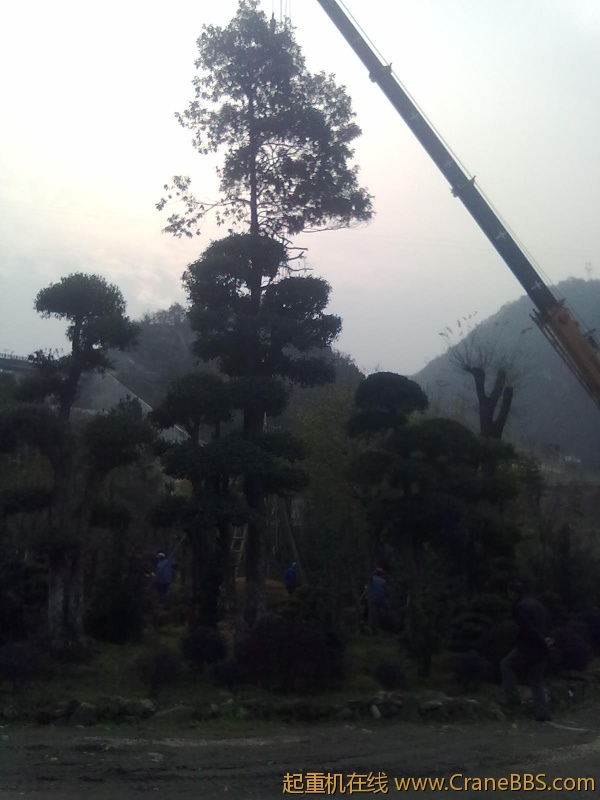 20111124037.jpg