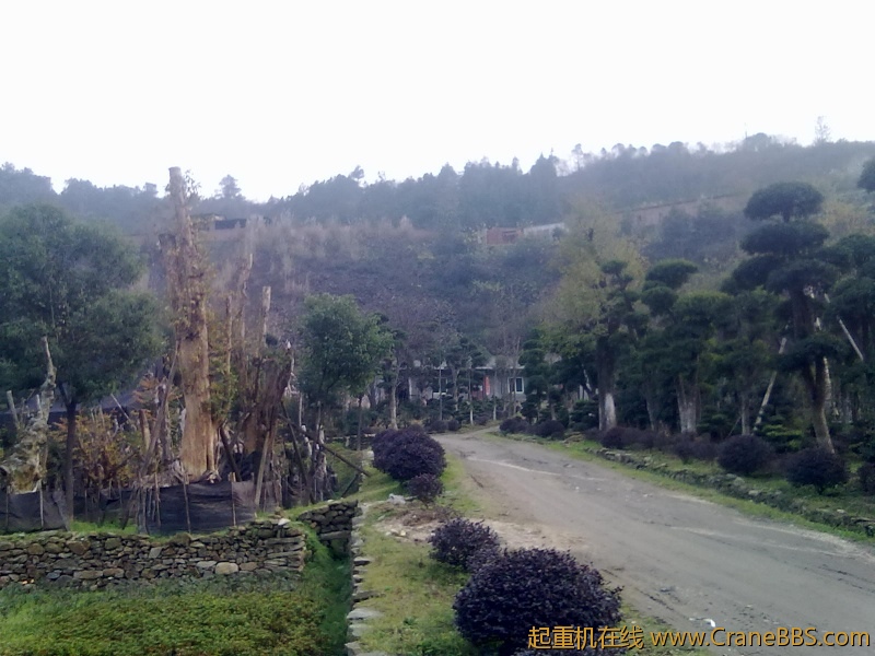 20111124038.jpg