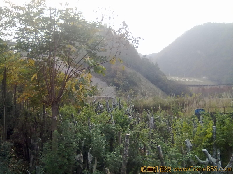 20111124040.jpg