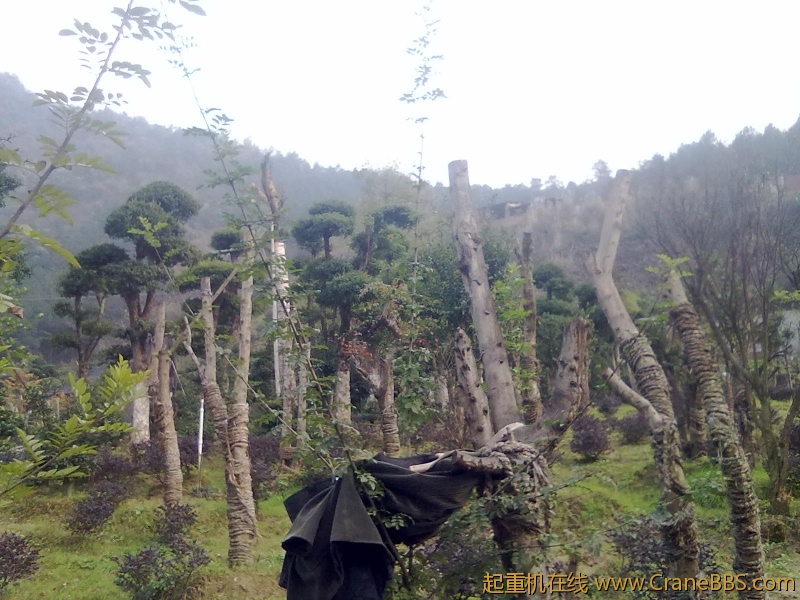 20111124032.jpg