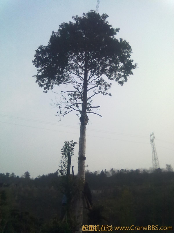 20111124033.jpg