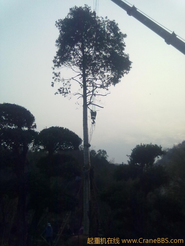 20111124034.jpg