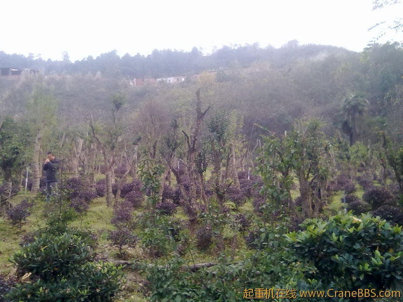 20111124046.jpg