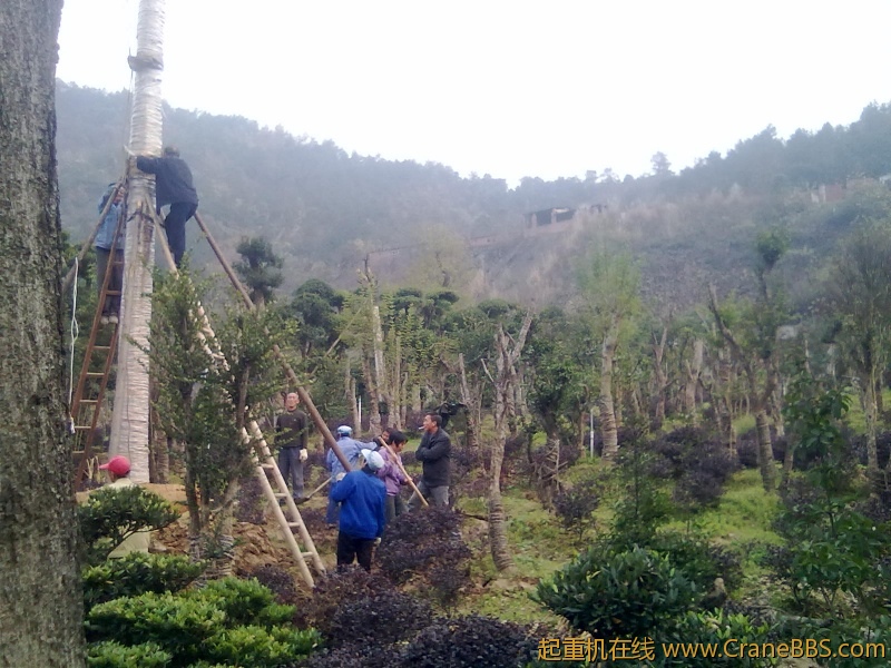 20111124047.jpg