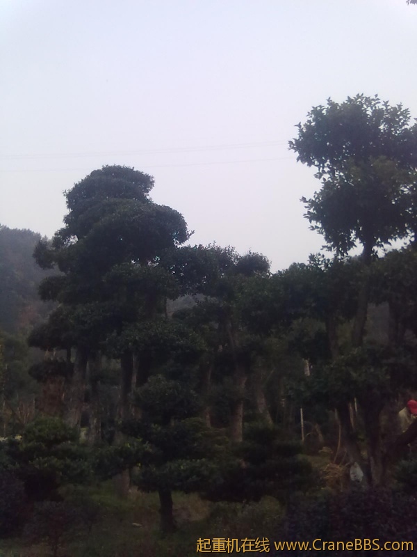 20111124050.jpg