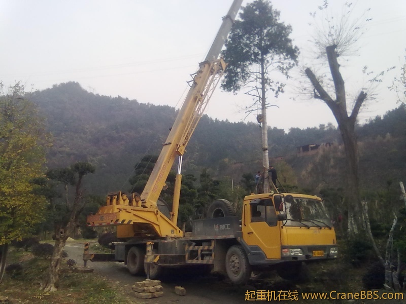 20111124044.jpg