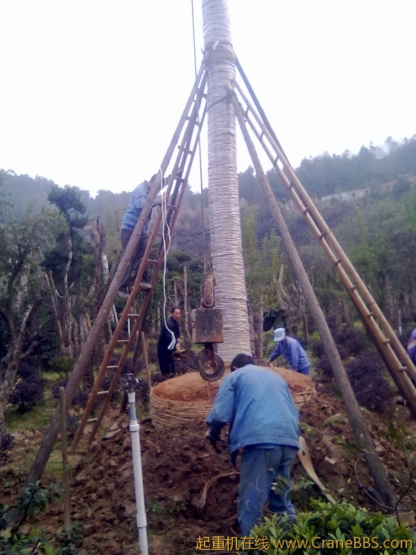 20111124051.jpg