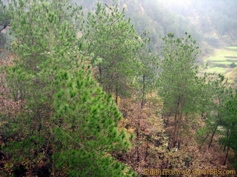 调整大小 IMG_0610.JPG