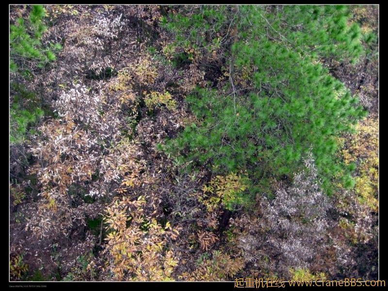 调整大小 IMG_0611.JPG