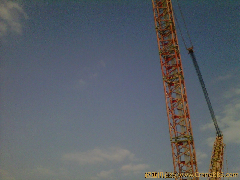 IMG-20111123-00184.jpg