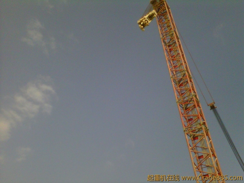 IMG-20111123-00185.jpg