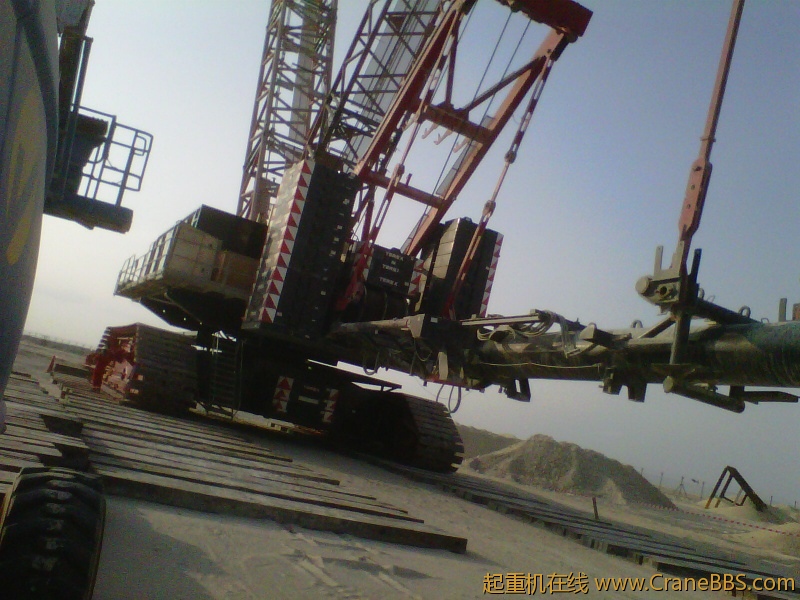 IMG-20111123-00189.jpg