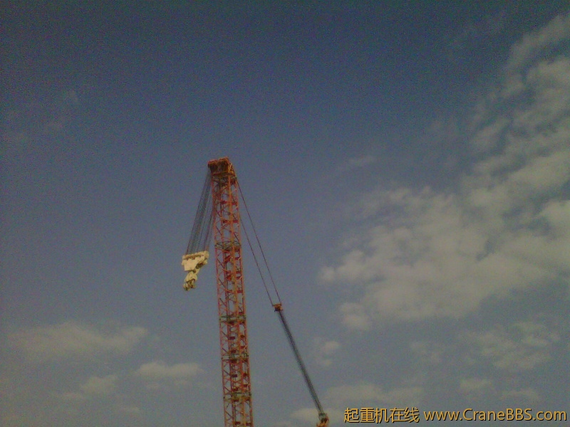 IMG-20111123-00182.jpg