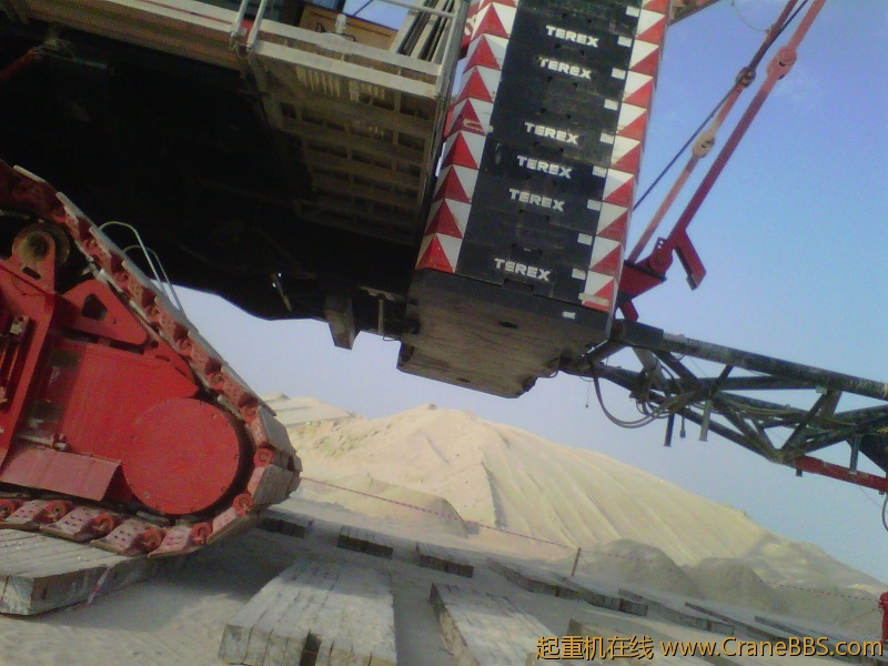 IMG-20111123-00188.jpg