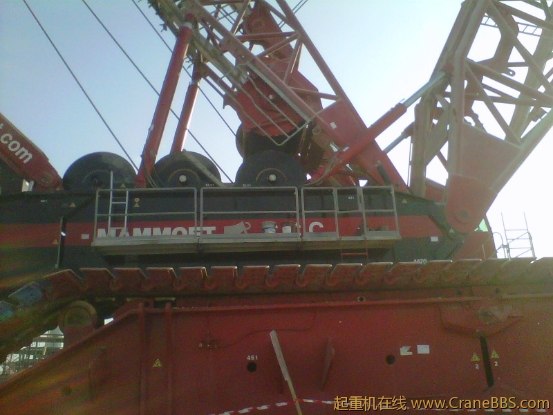 IMG-20111123-00192.jpg