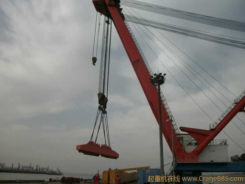 GEDC1011~1.jpg