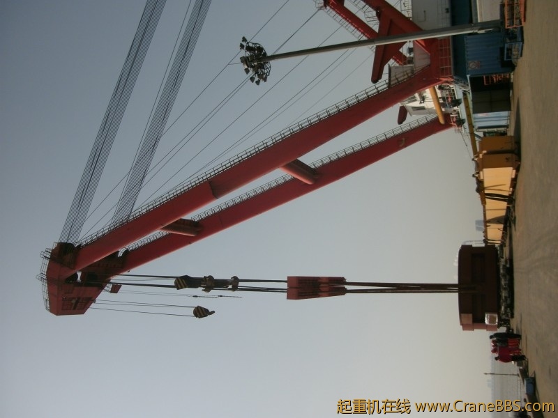 GEDC1013~1.jpg