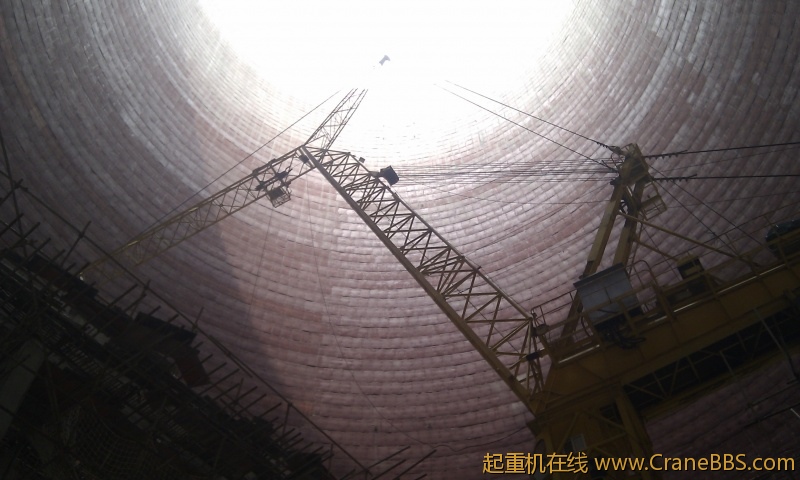 IMG_20120208_125559.jpg