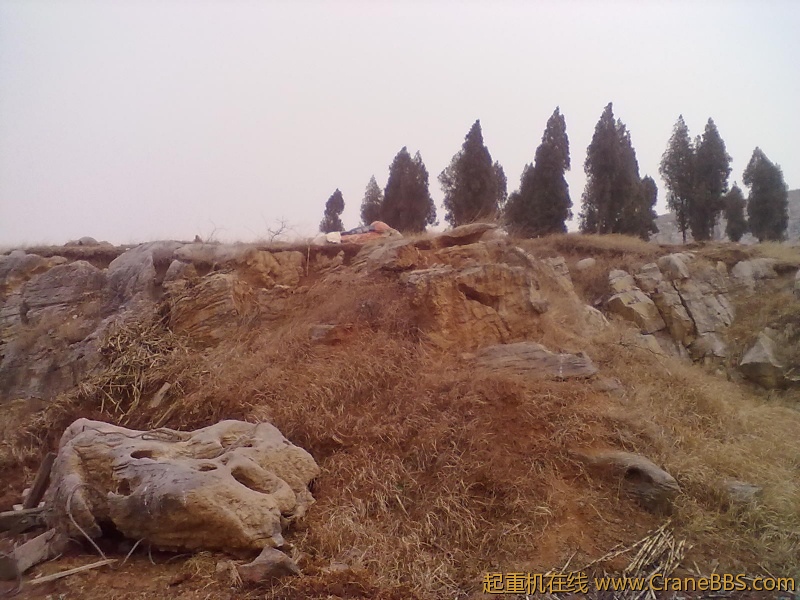 20120103189.jpg