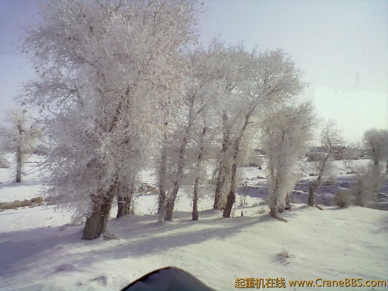 20120124248.jpg