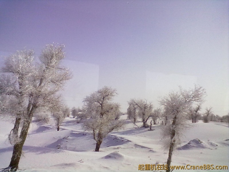 20120124249.jpg