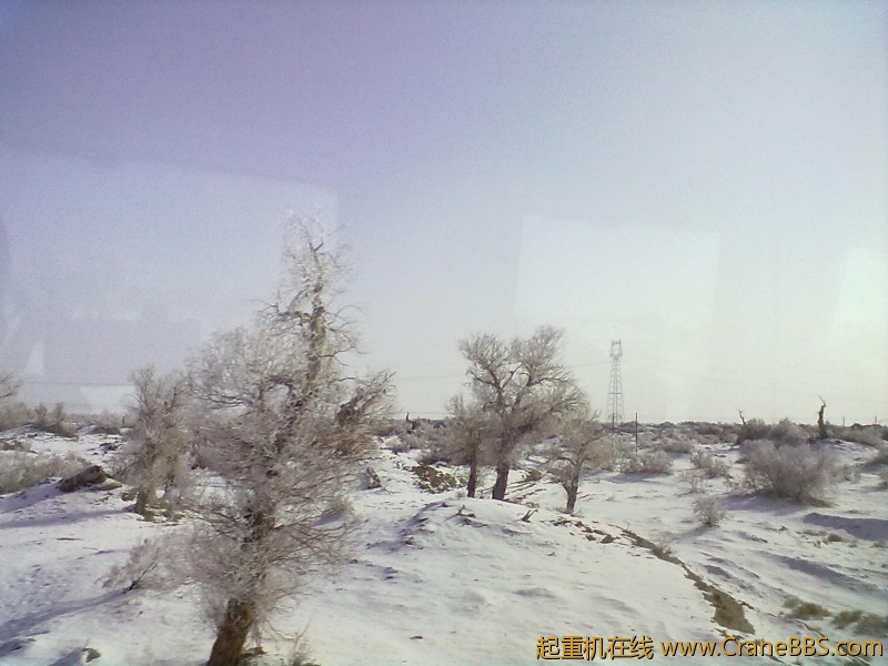 20120124244.jpg