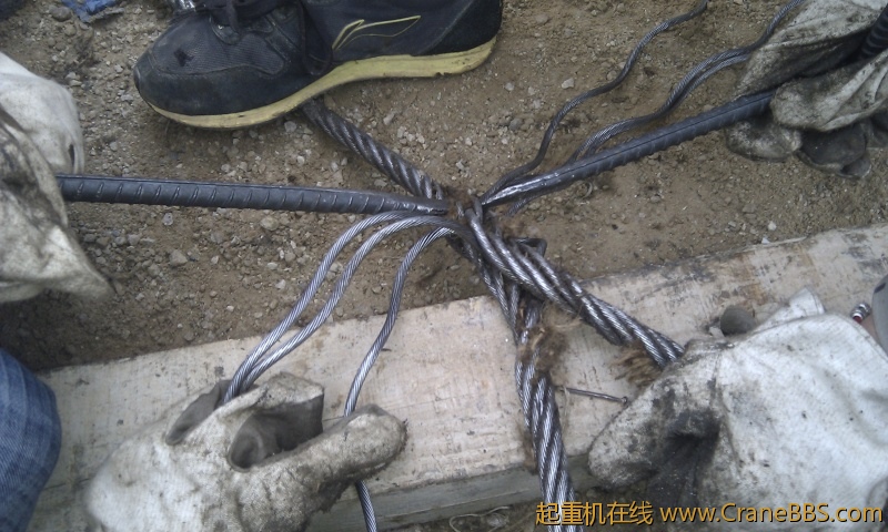 IMG_20120214_105628.jpg