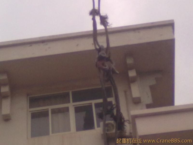 20111205712.jpg
