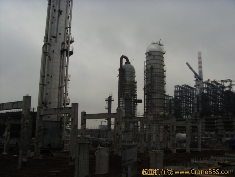 S73F3127_conew1.JPG