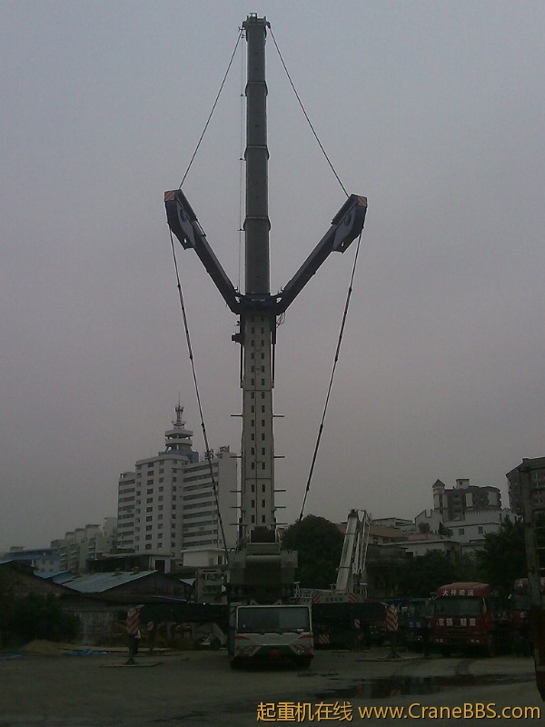 99.jpg